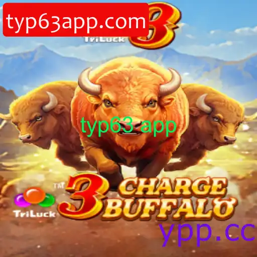3ChargeBuffalo